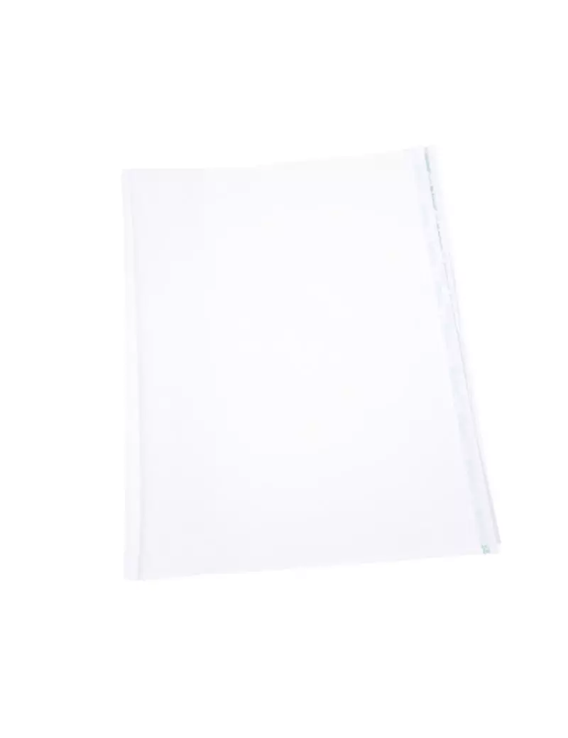 Coprilibro Liscio Riplast - 57x36 cm - 3044401.1 (Trasparente Conf. 25) Coprilibro Liscio Riplast - 57x36 cm - 3044401.1 (Trasparente Conf. 25)