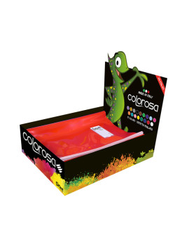 Copriquaderno Maxi Colorosa Riplast - A4 - 36718020 (Assortiti Conf. 60)