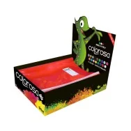 Copriquaderno Maxi Colorosa Riplast - A4 - 36718020 (Assortiti Conf. 60)