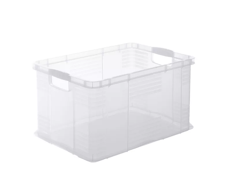 Contenitore Portaoggetti Rotho - 59x39x31 cm - 55 Litri - F600159 (Trasparente)