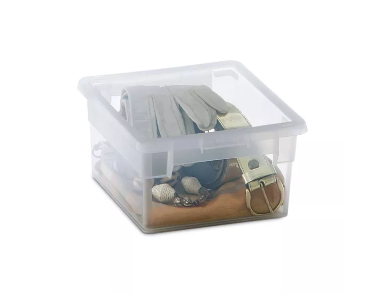 Contenitore Multiuso Light Box S/2 Terry Store Age - 17,8x20,4x10 cm - 2,5 Litri - 1001970 (Trasparente)