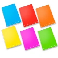 Quaderno Monocromo Fluo Pigna - A4 - Quadretti 5 mm senza Margini - 02267925M (Assortiti Conf. 10)