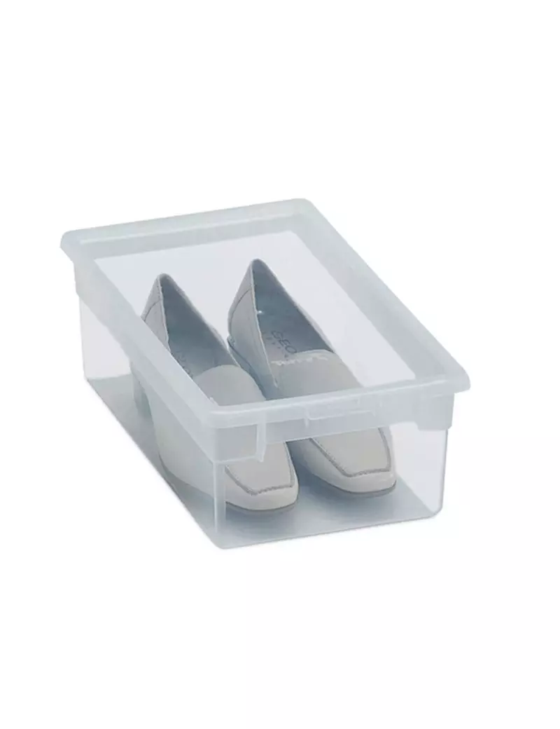 Contenitore Multiuso Light Box XS Terry Store Age - 19x33,4x11 cm - 5 Litri - 1001377 (Trasparente) Contenitore Multiuso Light Box XS Terry Store Age - 19x33,4x11 cm - 5 Litri - 1001377 (Trasparente)