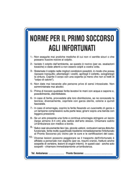 Cartello di Segnalazione - Norme di Primo Soccorso agli Infortunati - 33,3x47 cm - 3612 (Bianco)