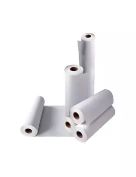 Carta Paperoll Blueback Riplast - 500 mm x 100 m - 120 g - C0599001 (Bianco)