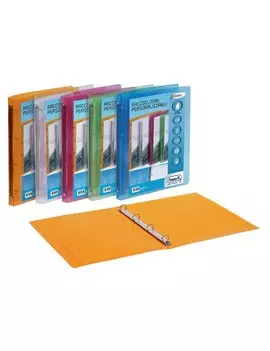 Raccoglitore Personalizzabile Lumina Favorit - A4 - 4 Anelli Tondi 15 mm - 400116631 (Assortiti Conf. 20)