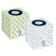 Veline Facciali Papernet - 2 Veli - 419583 (Bianco Conf. 88)