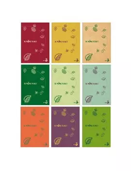 Quaderno Be More Planet BM - A4 - 1 Rigo con Margini - 0122650 (Assortiti Conf. 20)