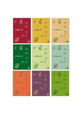 Quaderno Be More Planet BM - A4 - Quadretti 4 mm senza Margini - 0122652 (Assortiti Conf. 20)