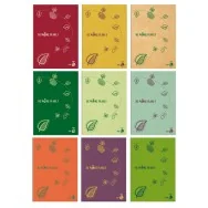 Quaderno Be More Planet BM - A4 - Quadretti 5 mm con Margini - 0122654 (Assortiti Conf. 20)