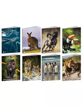 Quaderno Animal World Blasetti - A4 - Quadretti 10 mm senza Margini - 8580 (Assortiti Conf. 10)