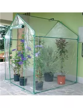 Serra a Casetta Clematis Verdemax - 155x155x205 cm - 2646 (Verde e Trasparente)