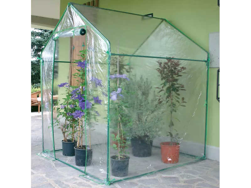 Serra a Casetta Clematis Verdemax - 155x155x205 cm - 2646 (Verde e Trasparente) Serra a Casetta Clematis Verdemax - 155x155x205 cm - 2646 (Verde e Trasparente)