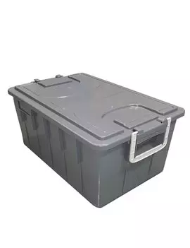 Cassa Multiuso con Coperchio e Maniglie Mobil Plastic - 58x38x26 cm - 40 Litri - 143/40-GRI (Grigio)