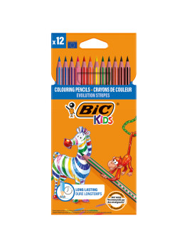Matite Colorate Evolution Stripes Bic - 9505222 (Assortiti Conf. 12)