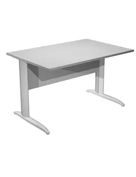 Scrivania Lineare Easy Metal Artexport - 140x80 cm - 002K2/9/AA (Grigio e Grigio Alluminio)