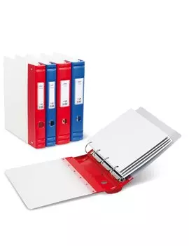 Raccoglitore Ares Sei Rota - 22x30 cm - 4 Anelli a D 30 mm - Dorso 4 - 38103007 (Blu)