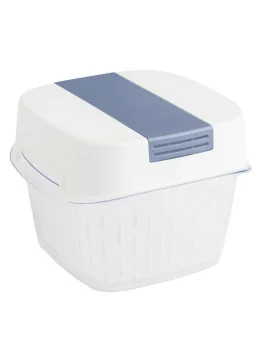 Contenitore per Alimenti Dynamic Box Fresh Rotho - 15,5x15,5x12,3 cm - 1,6 Litri - F710256 (Trasparente)