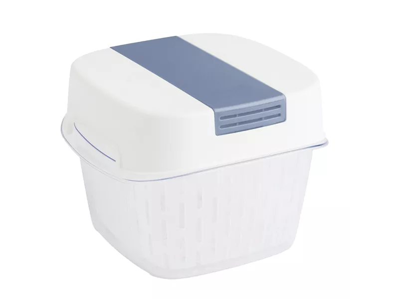 Contenitore per Alimenti Dynamic Box Fresh Rotho - 15,5x15,5x12,3 cm - 1,6 Litri - F710256 (Trasparente)