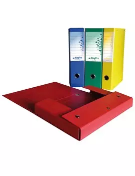 Scatola Portaprogetti KingPro Starline - Dorso 8 - 25x35 cm - con Porta Etichette (Giallo)