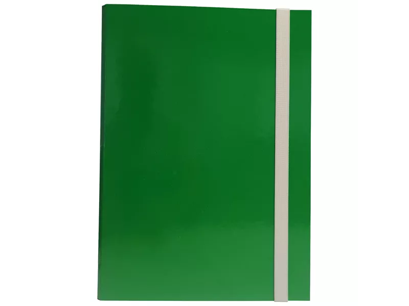 Cartella Portaprogetti con Elastico Starline - Dorso 3 - 25x35 cm - OD0503RXXXXAN03 (Verde)