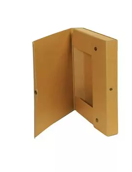 Scatola Portaprogetti con Bottone Starline - Dorso 4 - 25x35 cm - FMCXCPECO04AV (Avana Conf. 5)