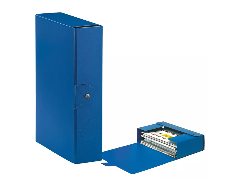 Scatola Portaprogetti Eurobox C28 Esselte - Dorso 8 - 25x35 cm - 390328050 (Blu Conf. 5)