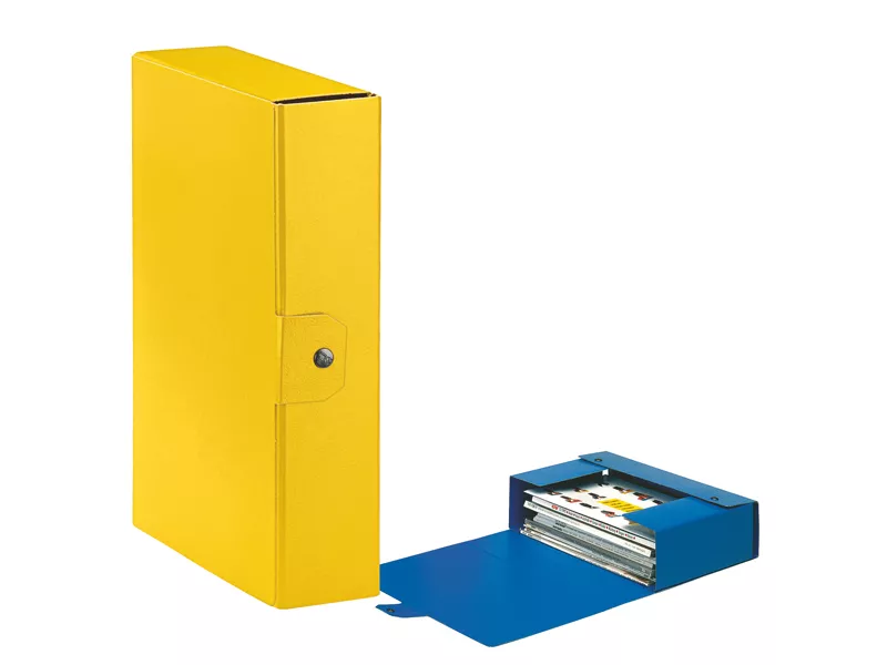 Scatola Portaprogetti Eurobox C28 Esselte - Dorso 8 - 25x35 cm - 390328090 (Giallo Conf. 5)