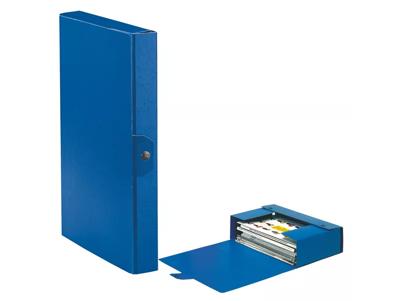 Scatola Portaprogetti Eurobox C24 Esselte - Dorso 4 - 25x35 cm - 390324050 (Blu Conf. 5)