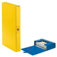 Scatola Portaprogetti Eurobox C24 Esselte - Dorso 4 - 25x35 cm - 390324090 (Giallo Conf. 5)