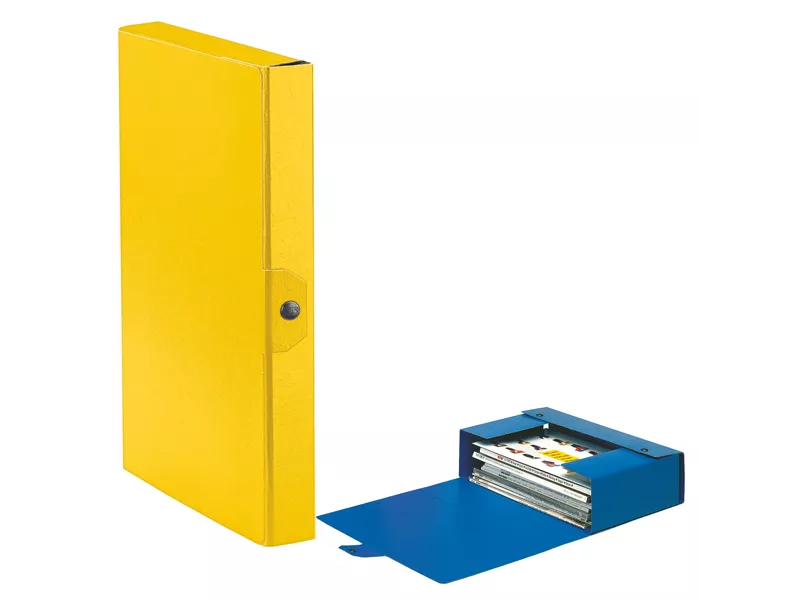 Scatola Portaprogetti Eurobox C24 Esselte - Dorso 4 - 25x35 cm - 390324090 (Giallo Conf. 5)