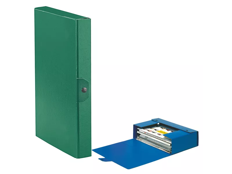 Scatola Portaprogetti Eurobox C24 Esselte - Dorso 4 - 25x35 cm - 390324180 (Verde Conf. 5)