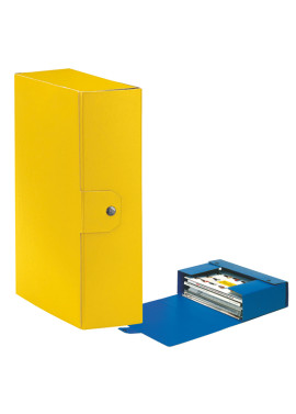 Scatola Portaprogetti Eurobox C30 Esselte - Dorso 10 - 25x35 cm - 390330090 (Giallo Conf. 5)