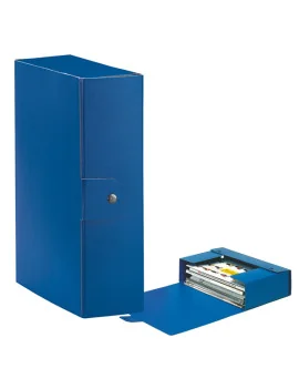 Scatola Portaprogetti Eurobox C30 Esselte - Dorso 10 - 25x35 cm - 390330050 (Blu Conf. 5)