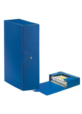 Scatola Portaprogetti Eurobox C30 Esselte - Dorso 10 - 25x35 cm - 390330050 (Blu Conf. 5)