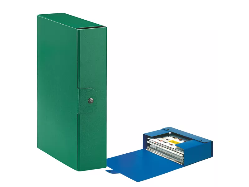 Scatola Portaprogetti Eurobox C28 Esselte - Dorso 8 - 25x35 cm - 390328180 (Verde Conf. 5)