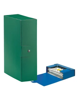 Scatola Portaprogetti Eurobox C30 Esselte - Dorso 10 - 25x35 cm - 390330180 (Verde Conf. 5)