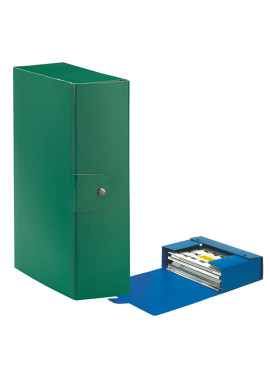 Scatola Portaprogetti Eurobox C30 Esselte - Dorso 10 - 25x35 cm - 390330180 (Verde Conf. 5)