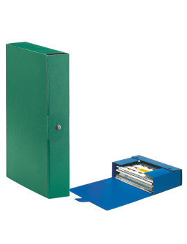 Scatola Portaprogetti Eurobox C30 Esselte - Dorso 6 - 25x35 cm - 390326180 (Verde Conf. 5)