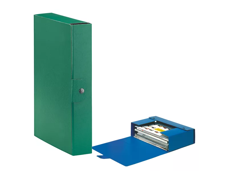 Scatola Portaprogetti Eurobox C30 Esselte - Dorso 6 - 25x35 cm - 390326180 (Verde Conf. 5)