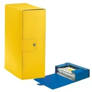 Scatola Portaprogetti Eurobox C32 Esselte - Dorso 12 - 25x35 cm - 390332090 (Giallo Conf. 5)