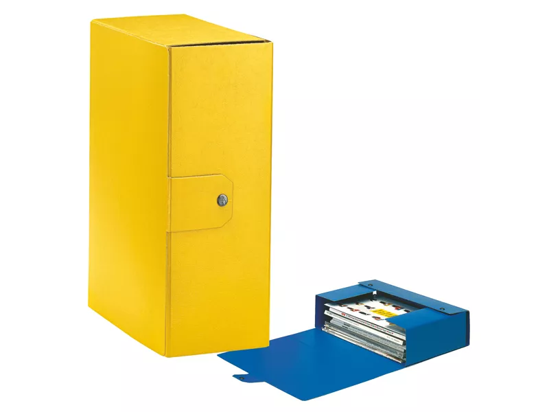 Scatola Portaprogetti Eurobox C32 Esselte - Dorso 12 - 25x35 cm - 390332090 (Giallo Conf. 5)