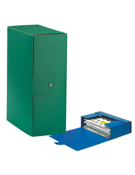 Scatola Portaprogetti Eurobox C32 Esselte - Dorso 12 - 25x35 cm - 390332180 (Verde Conf. 5)