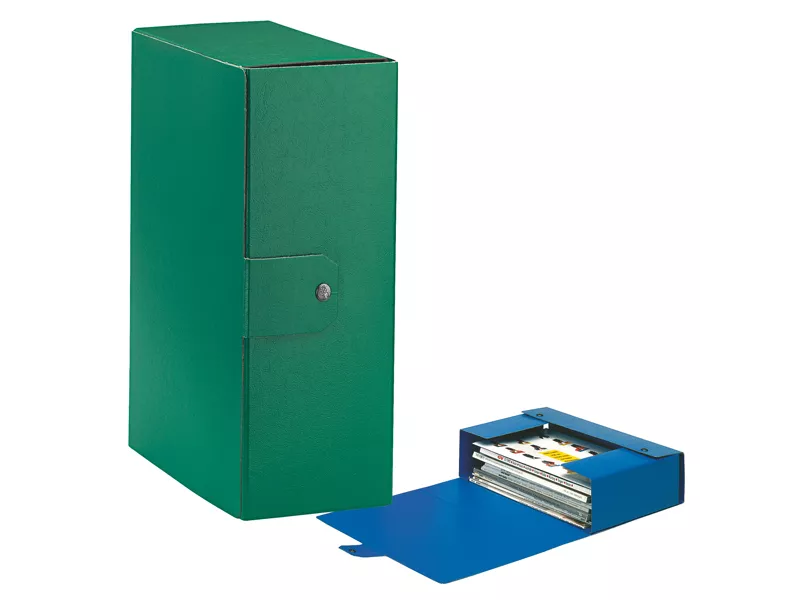 Scatola Portaprogetti Eurobox C32 Esselte - Dorso 12 - 25x35 cm - 390332180 (Verde Conf. 5)