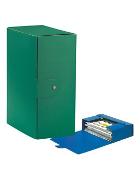 Scatola Portaprogetti Eurobox C35 Esselte - Dorso 15 - 25x35 cm - 390335180 (Verde Conf. 5)
