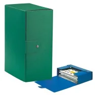 Scatola Portaprogetti Eurobox C35 Esselte - Dorso 15 - 25x35 cm - 390335180 (Verde Conf. 5)