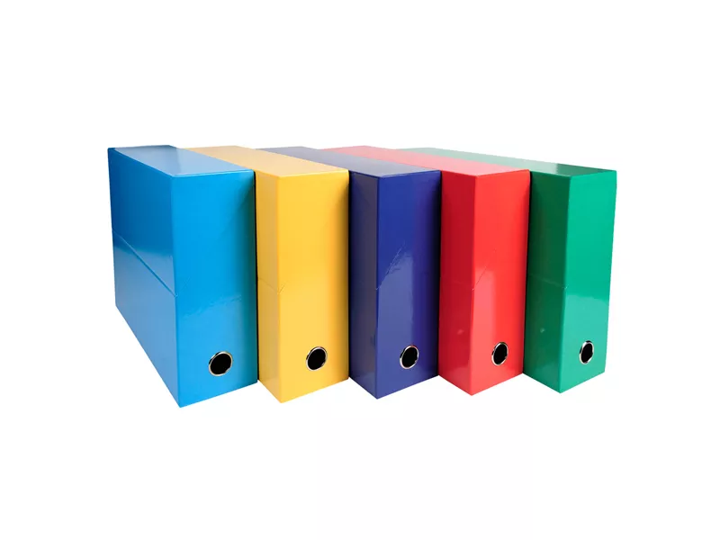 Scatola Progetto Iderama Exacompta - Dorso 9 - 25x33 cm - 89920E (Assortiti Classici Conf. 5)