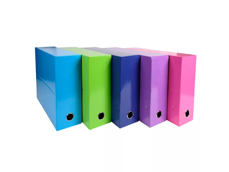 Scatola Progetto Iderama Exacompta - Dorso 9 - 25x33 cm - 89929E (Assortiti Tenui Conf. 5)