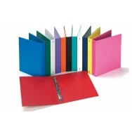 Raccoglitore Europa 4010 Favorit - A4 - 4 Anelli Tondi 30 mm - 100460431 (Assortiti Conf. 24)