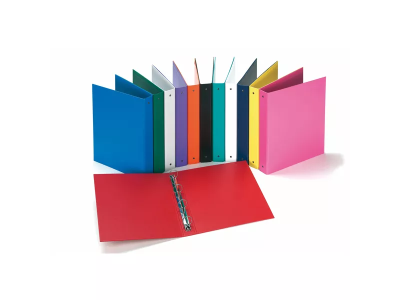 Raccoglitore Europa 4010 Favorit - A4 - 4 Anelli Tondi 30 mm - 100460431 (Assortiti Conf. 24)